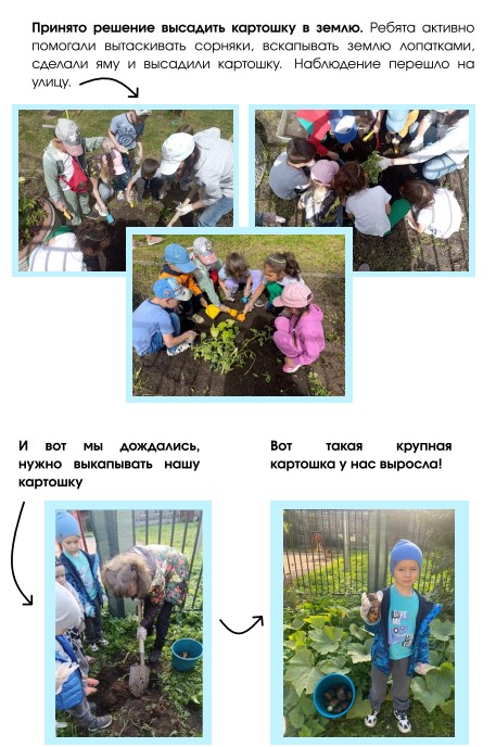 единомышленники 6