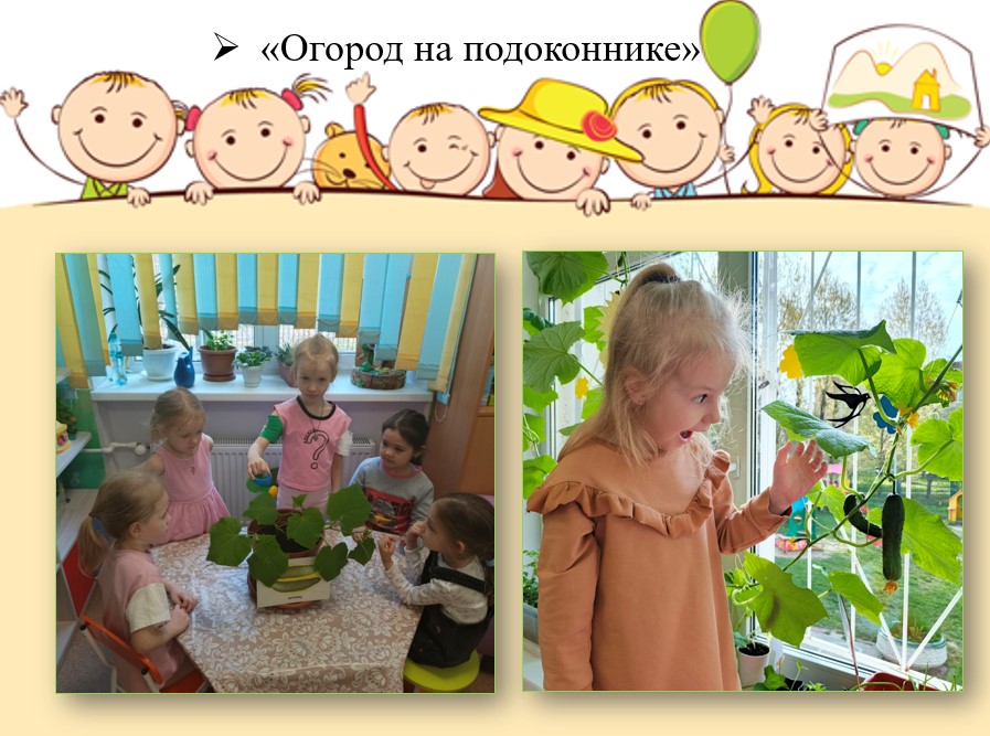 первые шаги огородника 13