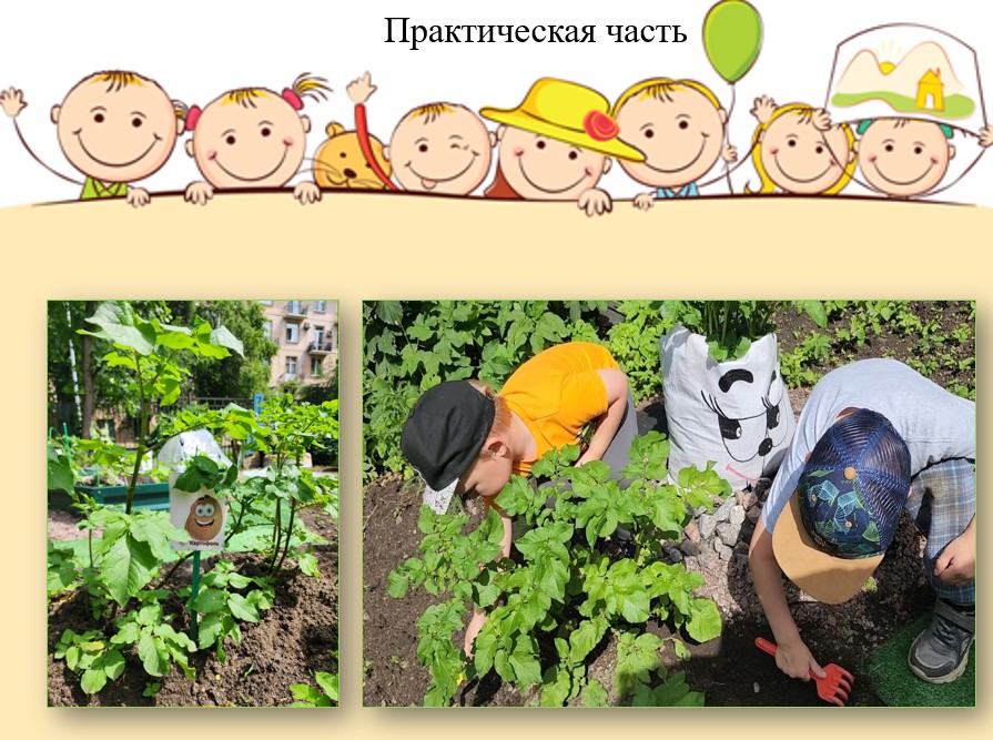 первые шаги огородника 32