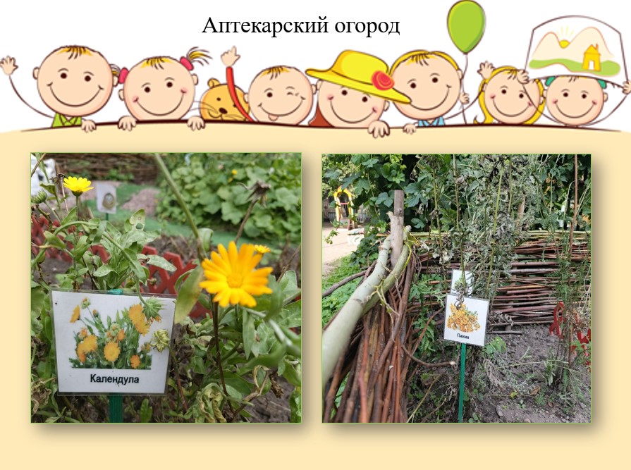 первые шаги огородника 35