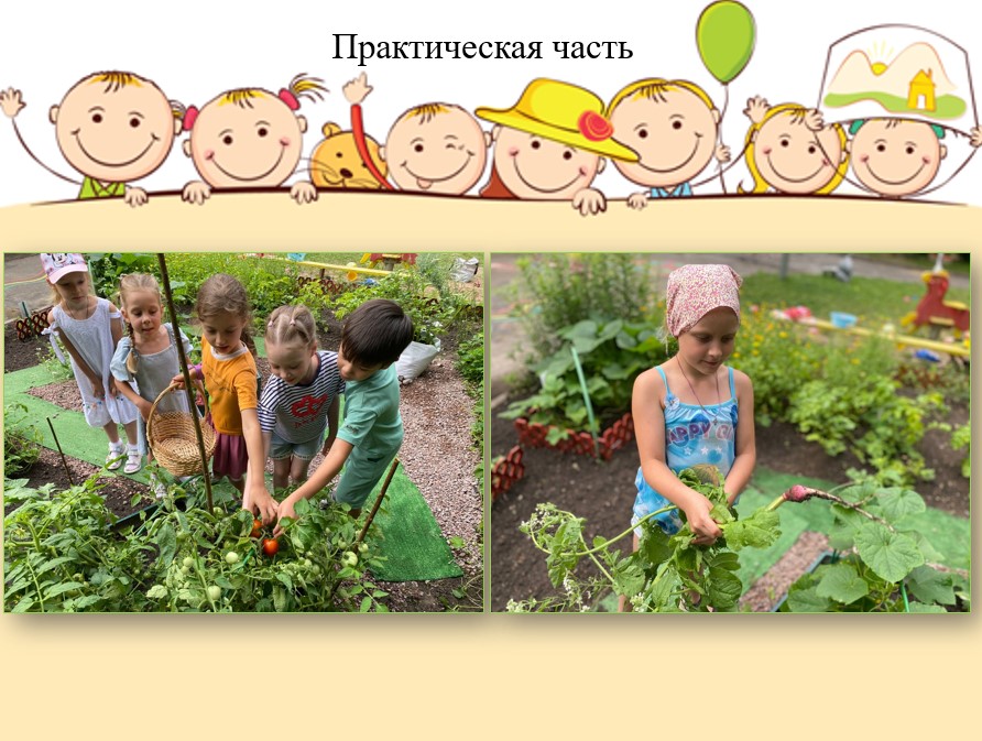 первые шаги огородника 40