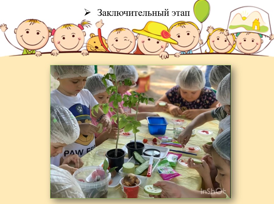 первые шаги огородника 46